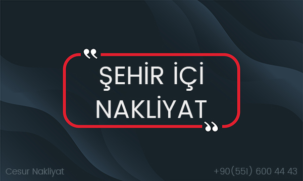 Şehir İçi Nakliyat